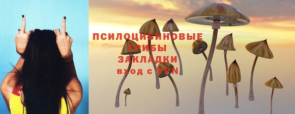 apvp Балабаново