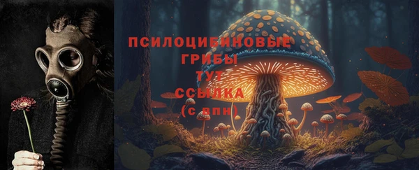 apvp Балабаново